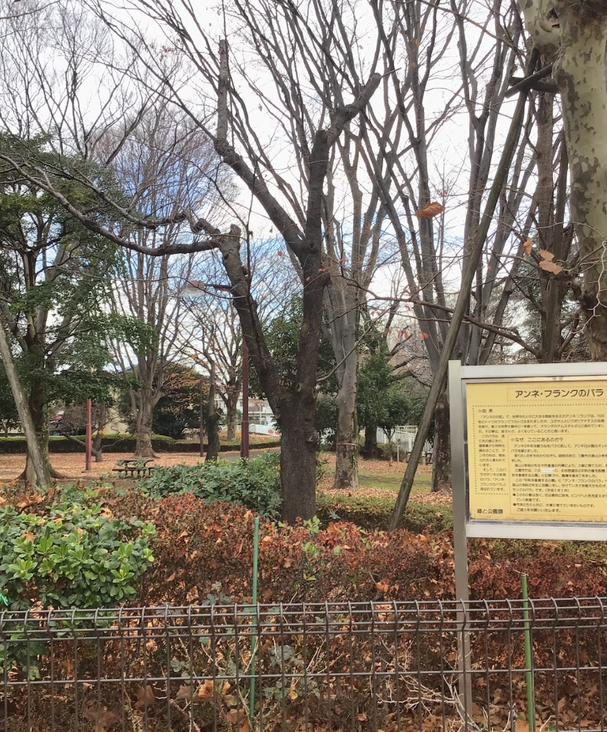 核分裂の仕組み